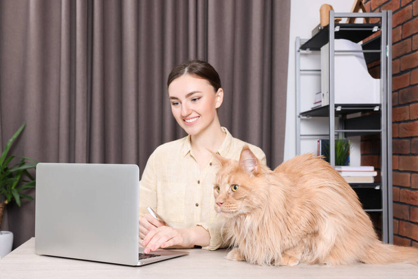 Woman working at desk, focus on cat. Home office - Valokuva, kuva