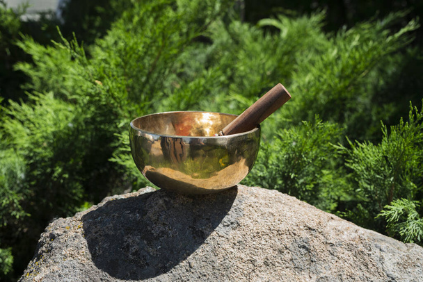 Tibetan singing bowl on a stone against a background of greenery. High quality photo - Photo, Image