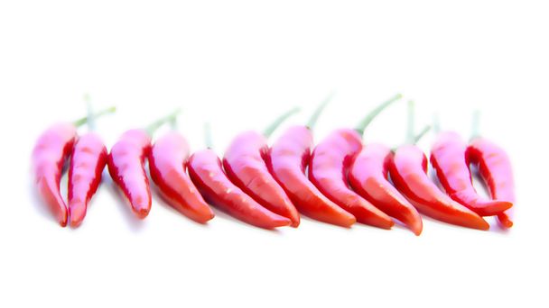 Κόκκινες πιπεριές τσίλι σε ευθεία γραμμή - Φωτογραφία, εικόνα