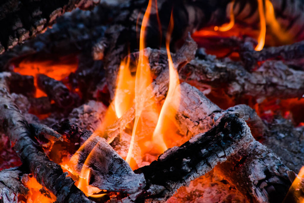 暖かくて輝くキャンプファイアオレンジの炎とログが熱にクラック. - 写真・画像