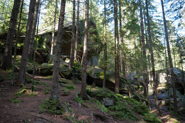 Dovbush Rocks near Yaremche city, Ukraine. Dovbush path - route through wooded mountain slopes, rises up to rock massifs. Dovbush path was created in memory of great leader of Opryshky, Oleksa Dovbush - Photo, Image