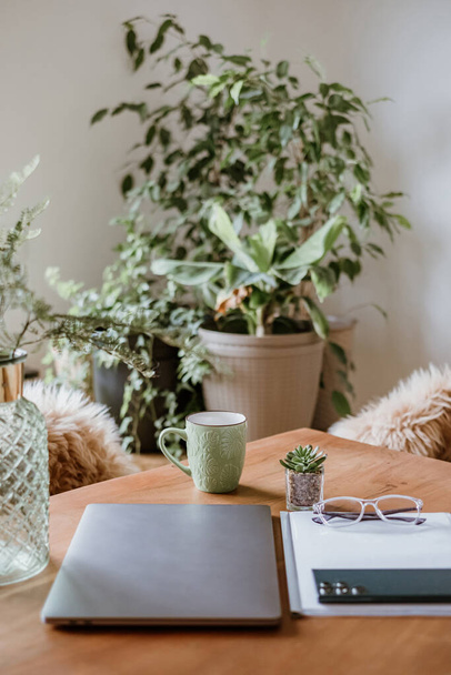 Стильне робоче місце для домашнього офісу, дерев'яний стіл з ноутбуком і робочими предметами з красивими зеленими рослинами
. - Фото, зображення