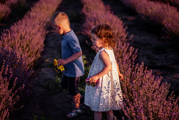 Playful little cute couple boy girl walk on purple lavender flower meadow field background, have fun, enjoy good sunny day. Excited small kids. Family day, children, childhood lifestyle concept - 写真・画像