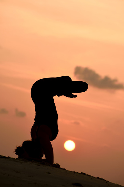 Mujer yoga profesional
 - Foto, Imagen