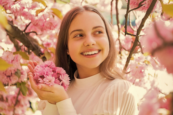 glad kid at sakura flower bloom in spring. - Valokuva, kuva