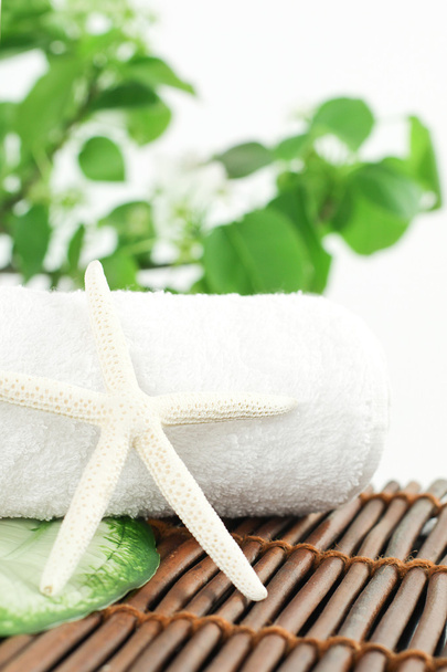 Foglie verdi e asciugamano bianco su sfondo di bambù
 - Foto, immagini