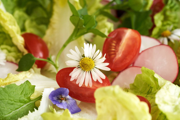 Closeup of a wild edible flowers in vegetable salad in spring - Photo, Image