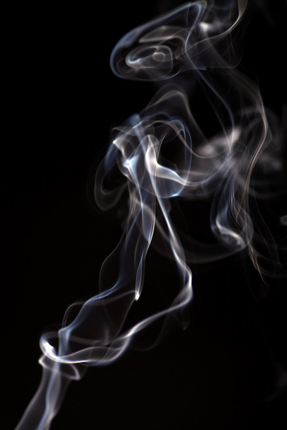 rook op zwarte achtergrond - Foto, afbeelding