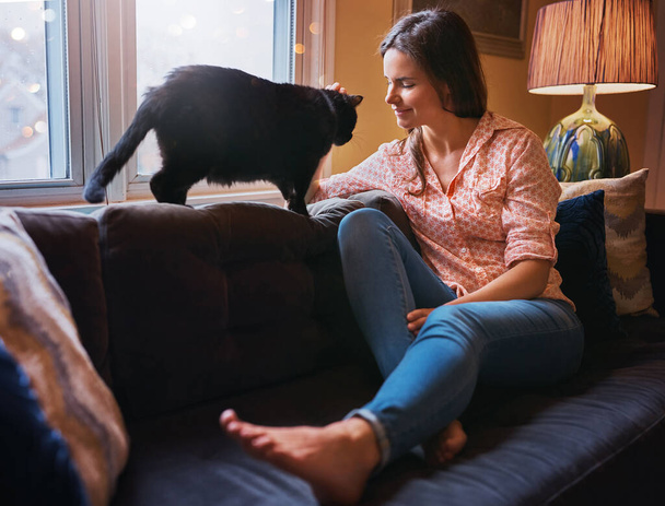 Hola, muchacho. una atractiva joven que se relaja en el sofá de su casa y se une a su gato - Foto, Imagen