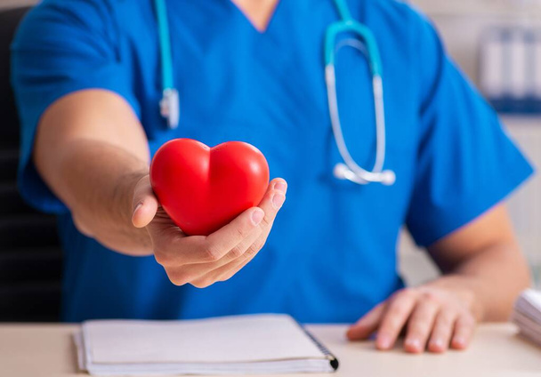 The male doctor cardiologist holding heart model - Photo, Image