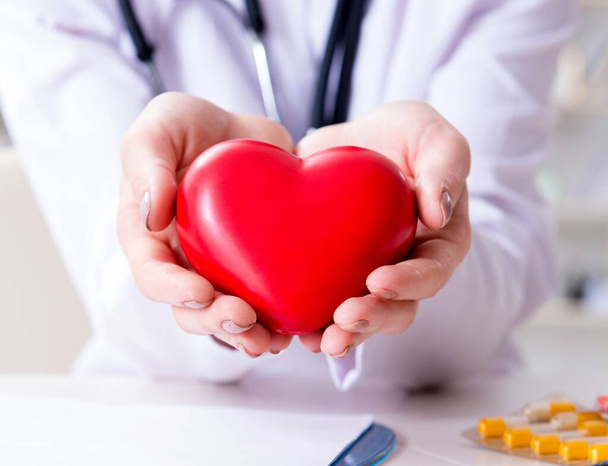 Врач-кардиолог с красным сердцем в больнице
 - Фото, изображение