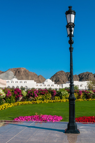 Amazing oasis in Middle East Muscat , Oman - Photo, Image