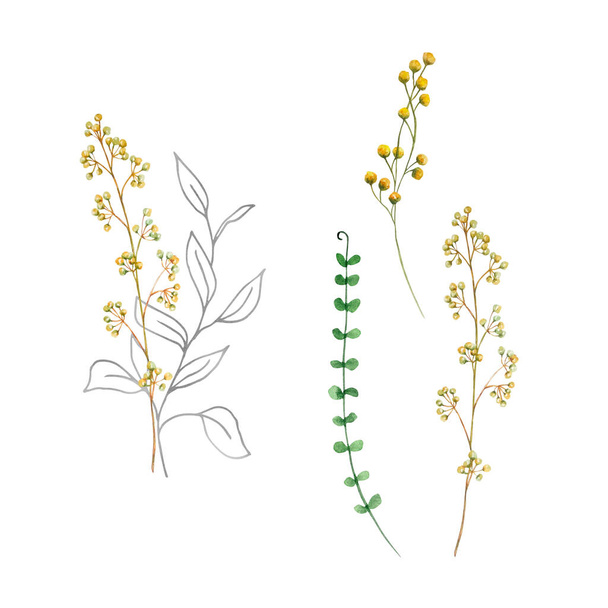 Akvarel kytice divokých květin, ilustrace na karty a pozvánky - Fotografie, Obrázek