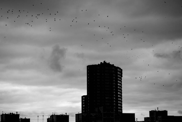 悲観的な黒と白の街並み。高層ビルの家の屋上、空の鳥の群れ。ウクライナの首都キエフは、ロシア戦争のために暗闇に突入します。都会の風景。うつ病. - 写真・画像