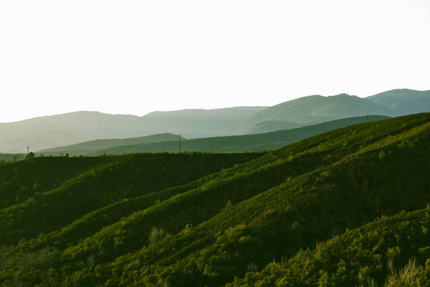 Natur in Spanien. Nationales Reservat, bergige Hügellandschaft mit grünen Bäumen im Wald, Wäldern. Die Hügel im Dunst gegen den Himmel. Naturtapete. Ein Konzept von Ökologie, Ruhe, Reiseziel.  - Foto, Bild