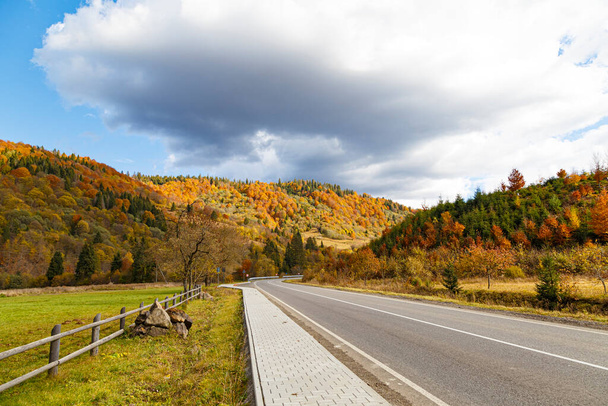 Leaf fall on winding asphalt road in the  mountain forest. Beautiful golden autumn in mountain forest. Carpathians. Ukraine - Φωτογραφία, εικόνα
