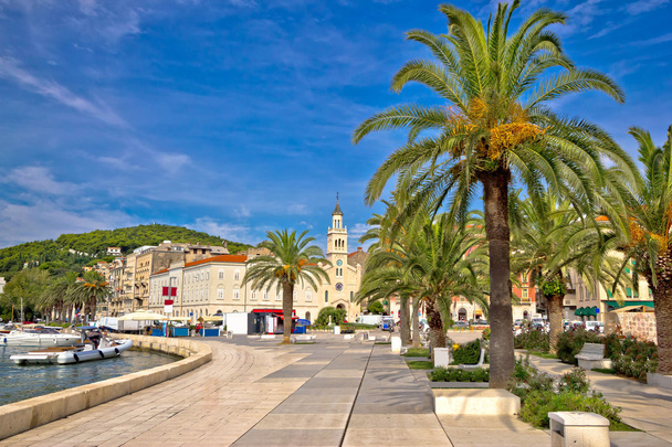 Ville de Split front de mer de palmiers
  - Photo, image