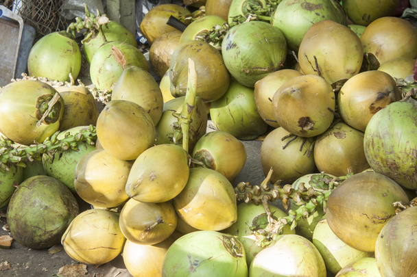 zelené kokosy - Fotografie, Obrázek