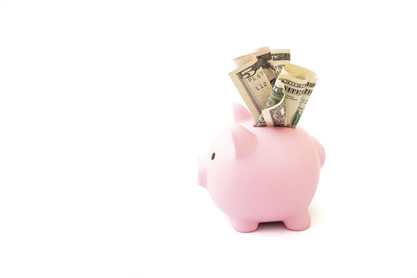 a pink piggy bank sits on hundred dollar bills. piggy bank with hundred dollar bill isolated on white background - Foto, immagini
