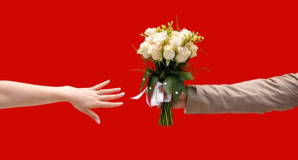 The groom at the wedding gives the bride with a manicure a french wedding bouquet of white roses with a white ribbon on a red wall background. Only hands close-up, without faces. - Photo, image