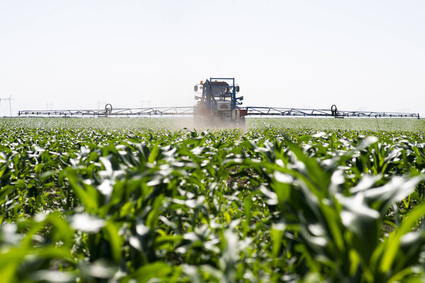 Traktorin spray lannoittaa kentän hyönteismyrkky rikkakasvien torjunta kemikaaleja maatalouden alalla  - Valokuva, kuva