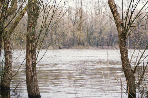 O rio no tempo de primavera está no fundo. Foto de alta qualidade - Foto, Imagem