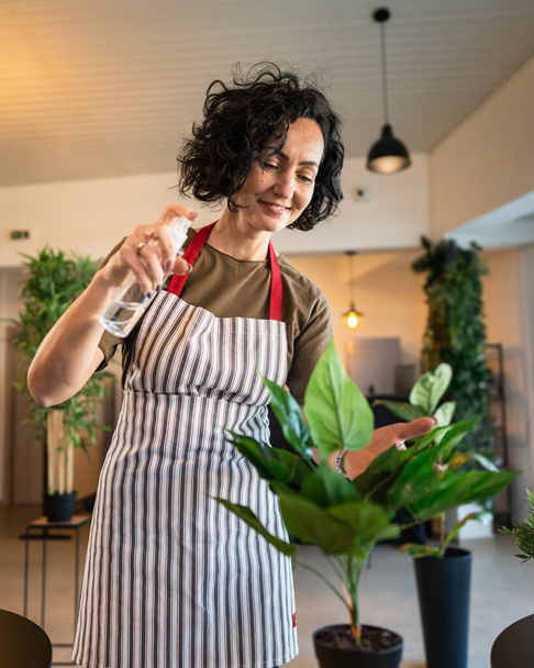 Egy érett nő kaukázusi női kertész vagy virágárus vigyázni és termeszteni háztartási virágok növények otthoni spray táplálkozás kertészeti koncepció másolás tér - Fotó, kép
