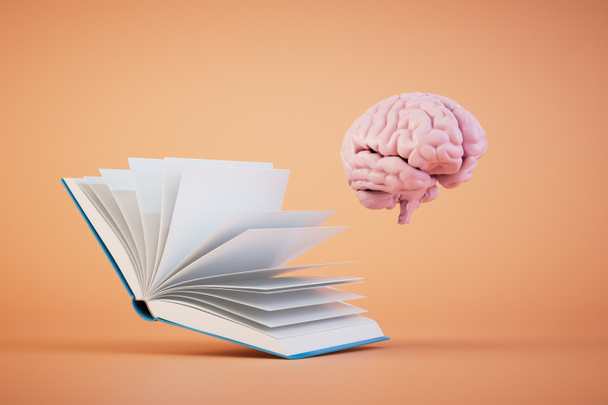 das Konzept des lebenslangen Lernens. ein aufgeschlagenes Buch und ein Gehirn auf pastellfarbenem Hintergrund. 3D-Renderer. - Foto, Bild