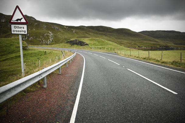 Route écossaise avec loutres traversant les feux de circulation. Shetland. Sco
 - Photo, image