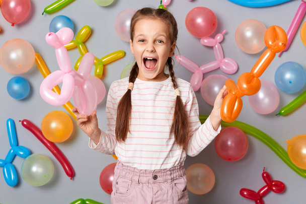 Extremely excited festive little girl  with pigtails standing against gray decorated colorful wall holding balloons in hands screaming hurray celebrating birthday. - Foto, Imagen
