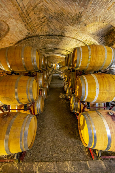 Wine cellar in Castello di Razzano, Piedmont, Italy - Foto, Imagem