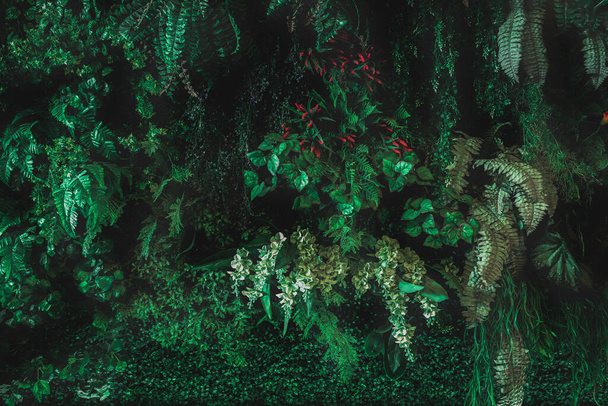 Herb wall, plant wall, natural green wallpaper and background. nature wall. Nature background of green forest - Φωτογραφία, εικόνα