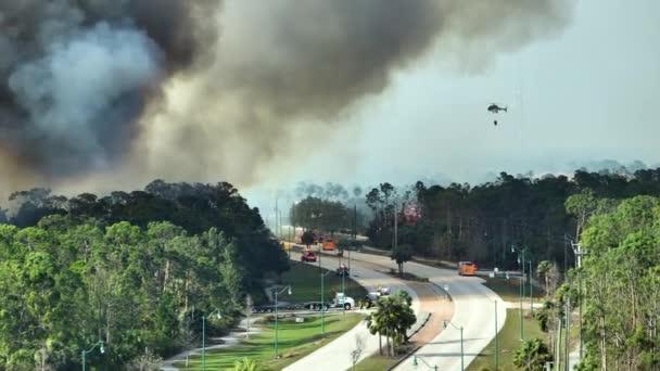 Fire department chopper and firetrucks extinguishing wildfire burning severely in Florida jungle woods. Emergency service vehicles and helicopter trying to put down flames in forest. - Footage, Video