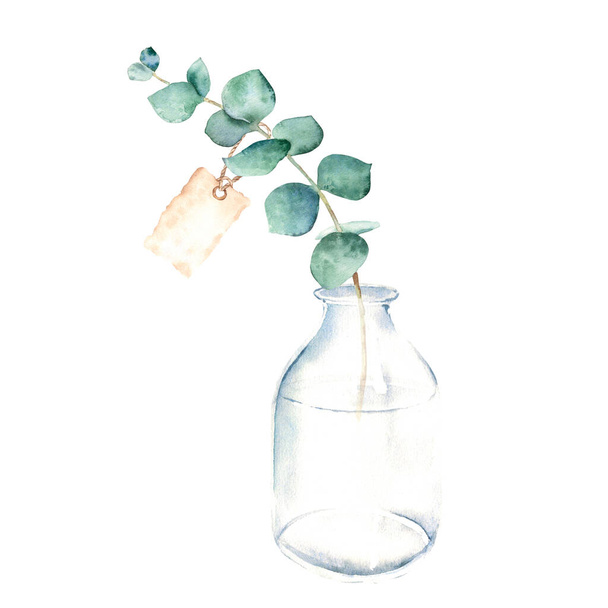 Ramo de eucalipto com etiqueta de papel vintage em vaso, garrafa, frasco. Azul verdadeiro. Ilustração botânica desenhada à mão aquarela isolada sobre fundo branco. Estilo minimalista Eco para cartão de saudação, cartaz. - Foto, Imagem