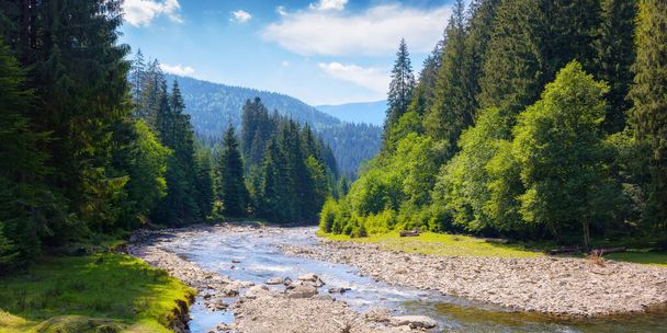 nature scenery with mountain river. green environment background with stones on the shore and forested hills - Foto, Imagem