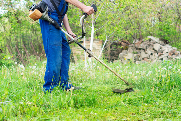 The gardener mows the grass with a trimmer in the spring garden. - Fotoğraf, Görsel