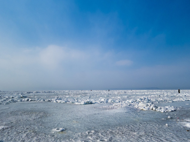 Ice desert - Photo, image