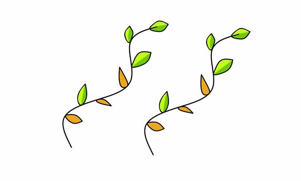 ilustração vetorial, folhas verdes e folhas amarelas em 2 galhos, adequado como decoração ou ornamento. design plano.  - Vetor, Imagem