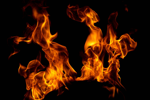 Flame fires. Burn lights on a black background. Fire flames on black background. Abstract fire flame background - Valokuva, kuva