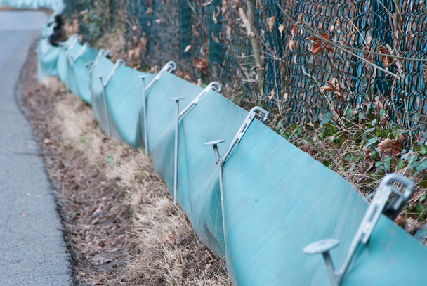 varangy kerítés környezeti Súgó a vadon élő állatok - Fotó, kép