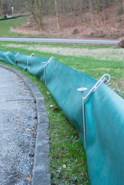 Жаба паркан для захисту Amphibean - Фото, зображення
