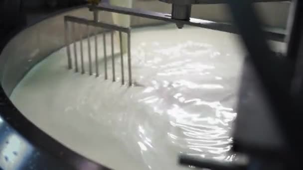 Prozess der Parmesankäseproduktion in Italien. Fabrikarbeiter, der fermentierende Milch verarbeitet. Nahsicht - Filmmaterial, Video