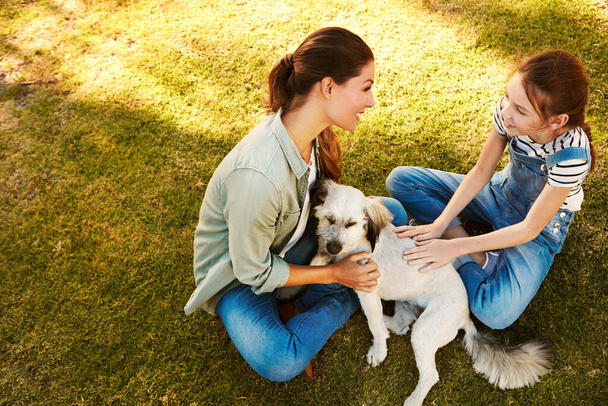 Su mejor amigo más allá de su mascota. una madre y su hija jugando con su perro en el parque - Foto, Imagen