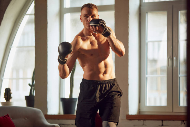 Sportive man with muscular, relief, strong, attractive body, training shirtless, ding boxing exercises at home on daytime. Concept of sportive lifestyle, body and health care, fitness, health - Valokuva, kuva