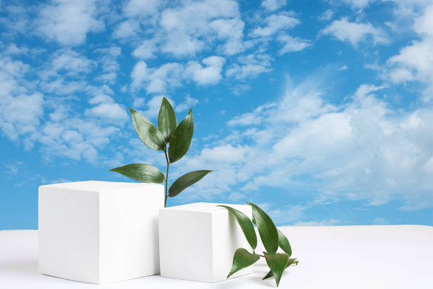  Dwa cementowe podium sześcienne i zielone liście Ruskusa przeciwko błękitnemu niebu z białymi chmurami. Makieta do prezentacji produktów kosmetycznych. Przestrzeń kopiowania - Zdjęcie, obraz