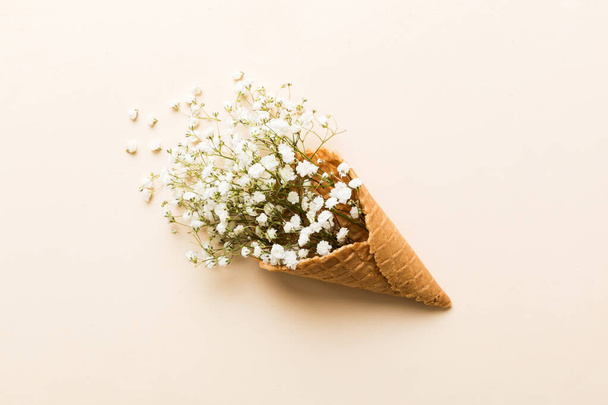 Waffle cone with beautiful gypsophila flowers on color background. summer concept. Copy space top view. - Fotografie, Obrázek