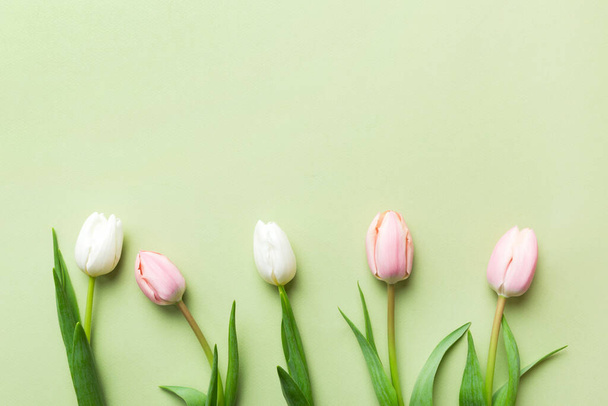 Růžové a bílé tulipány na barevném svátečním rámu Pozadí. Květinové jarní pozadí pro 8. března, narozeniny, Den matek. kopírovat vrchní pohled na mezeru. - Fotografie, Obrázek