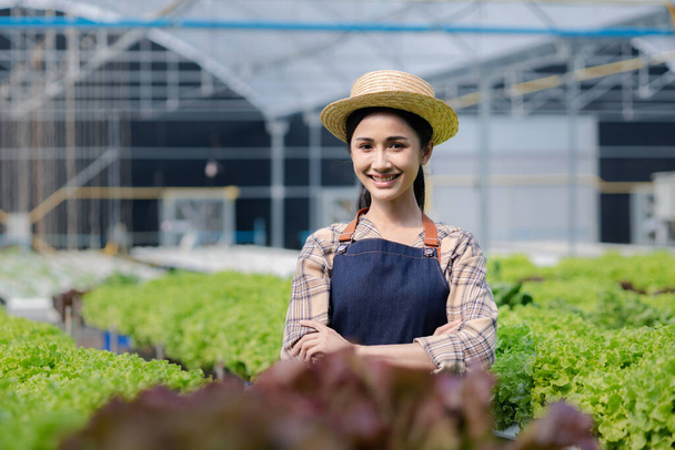 woman in the hydroponic vegetable farm grows wholesale hydroponic vegetables in restaurants and supermarkets, organic vegetables. new generations growing vegetables in hydroponics concept - Photo, Image