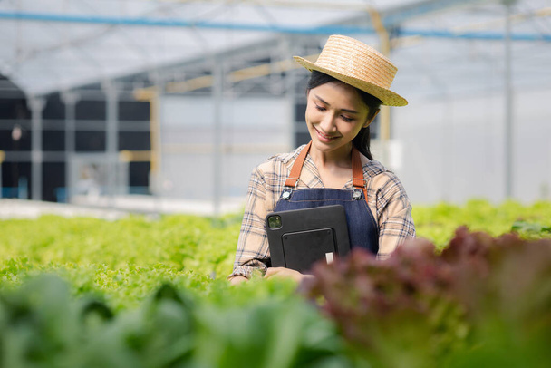 Női kertész kezében a tabletta hidroponikus területen nő nagykereskedelmi hidroponikus zöldségek éttermek és szupermarketek, bio zöldségek. zöldségek termesztése a hidroponika koncepciójában. - Fotó, kép