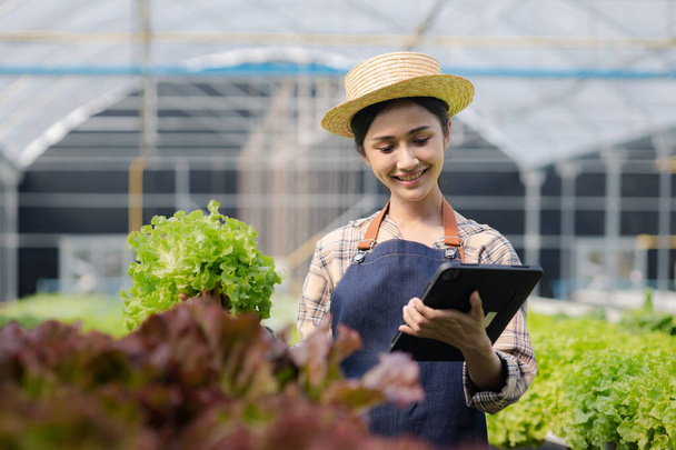 Gärtnerin, die die Tablette auf dem Feld der Hydrokultur hält, baut Großhandelsgemüse aus Hydrokultur in Restaurants und Supermärkten an, Bio-Gemüse. Gemüseanbau in Hydrokultur-Konzept. - Foto, Bild